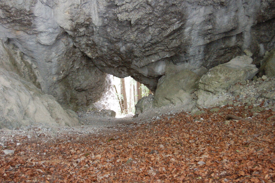 an1_005589.jpg