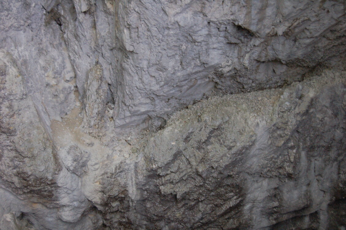 an1_005590.jpg