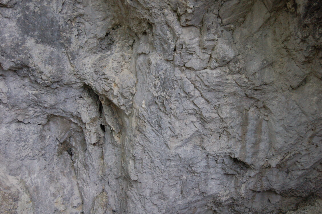 an1_005591.jpg