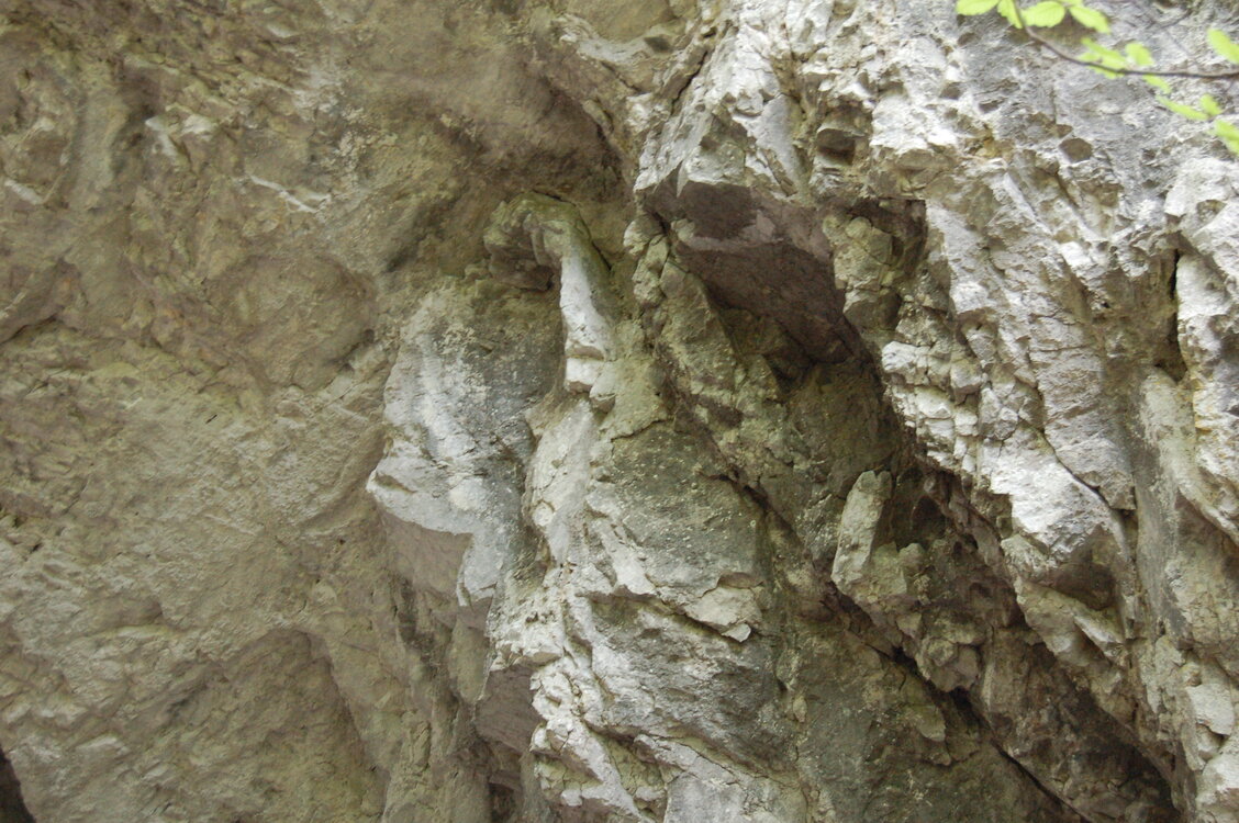 an1_005595.jpg