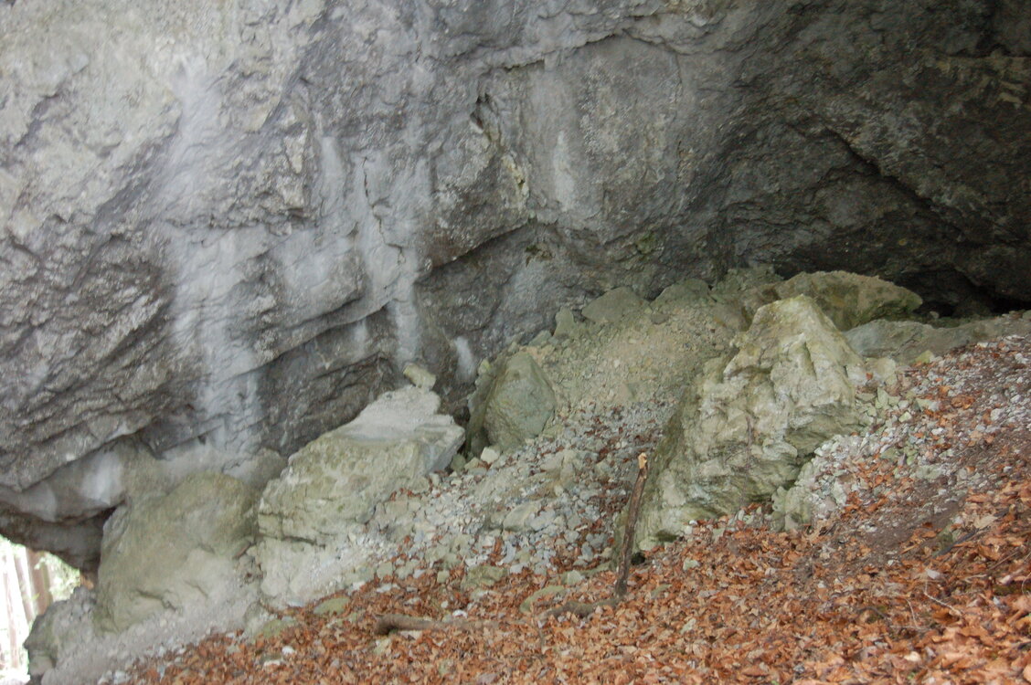 an1_005597.jpg