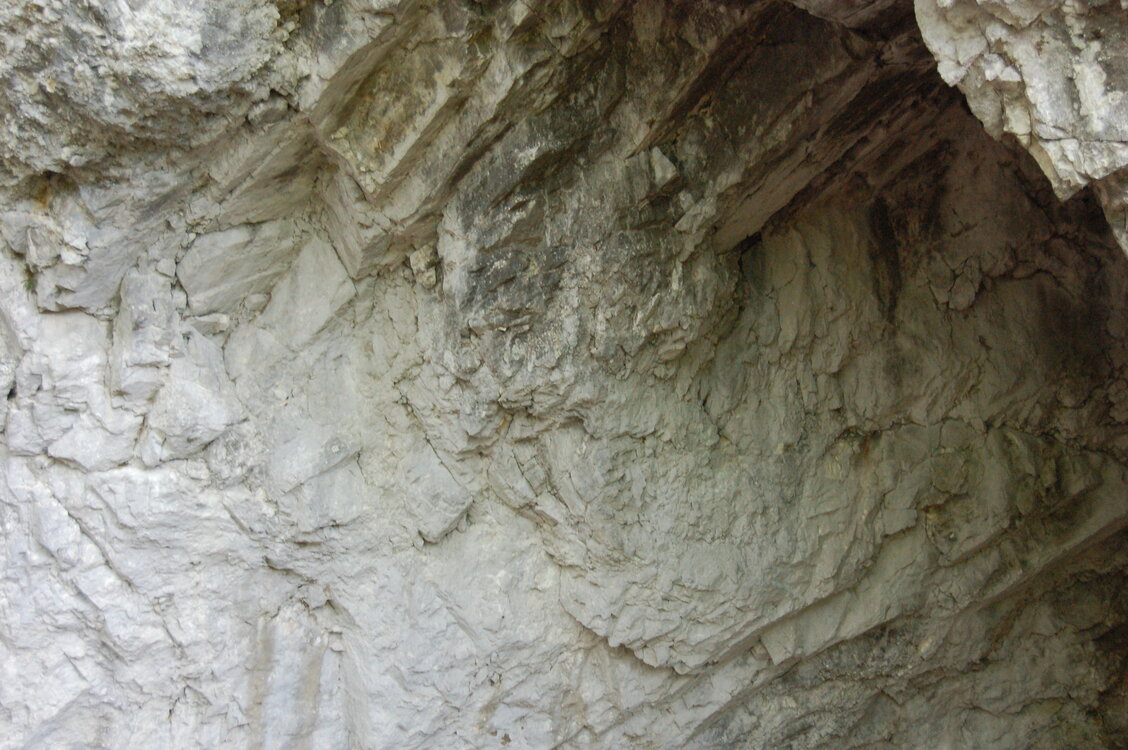 an1_005599.jpg