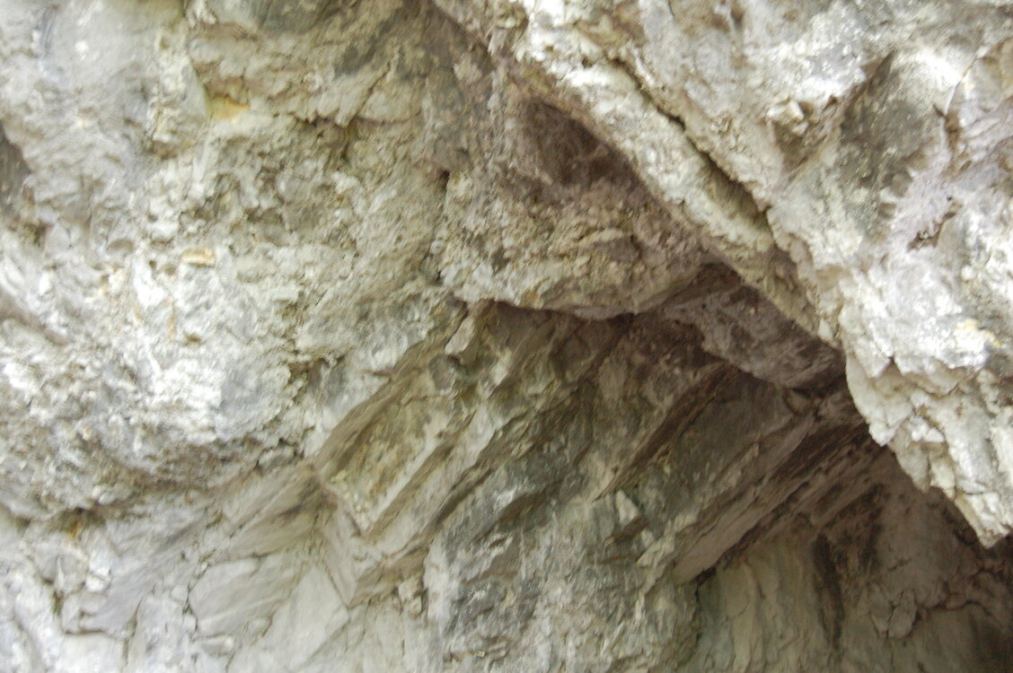 an1_005600.jpg