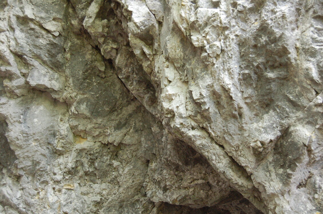an1_005601.jpg