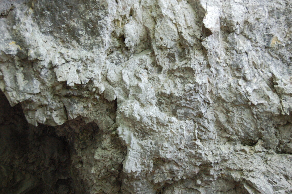 an1_005605.jpg