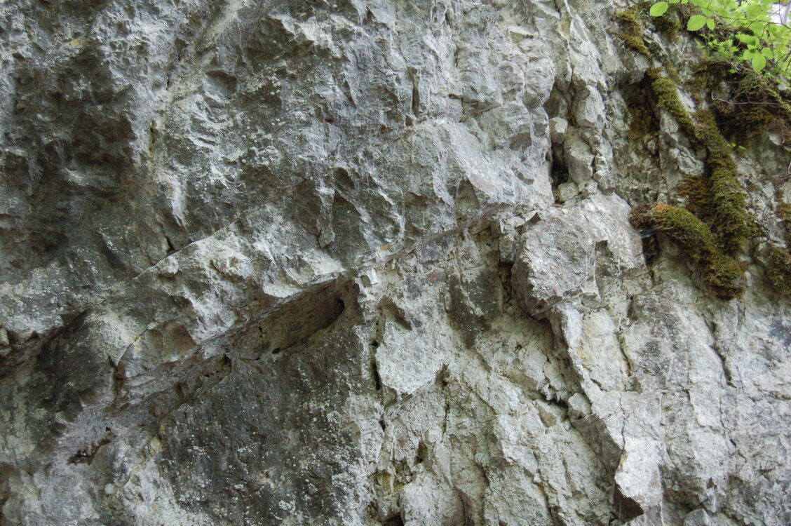 an1_005606.jpg