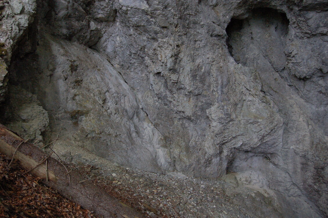 an1_005609.jpg