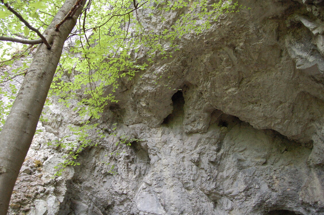 an1_005610.jpg