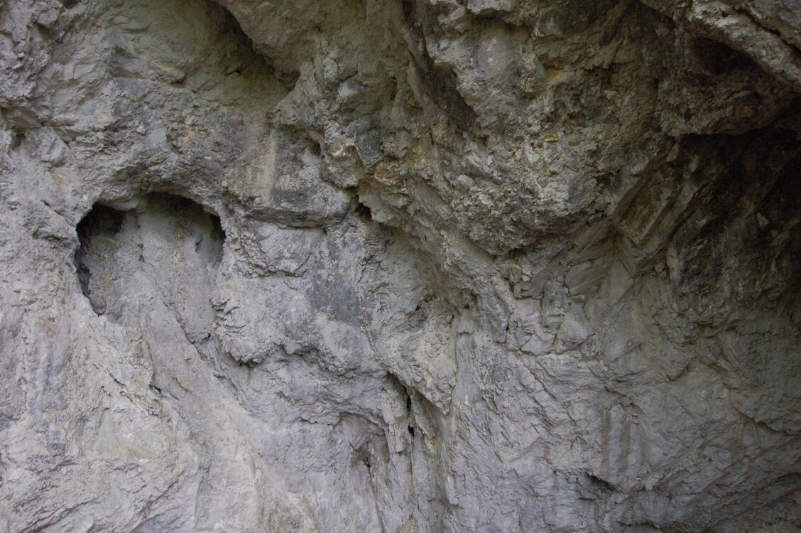 an1_005612.jpg