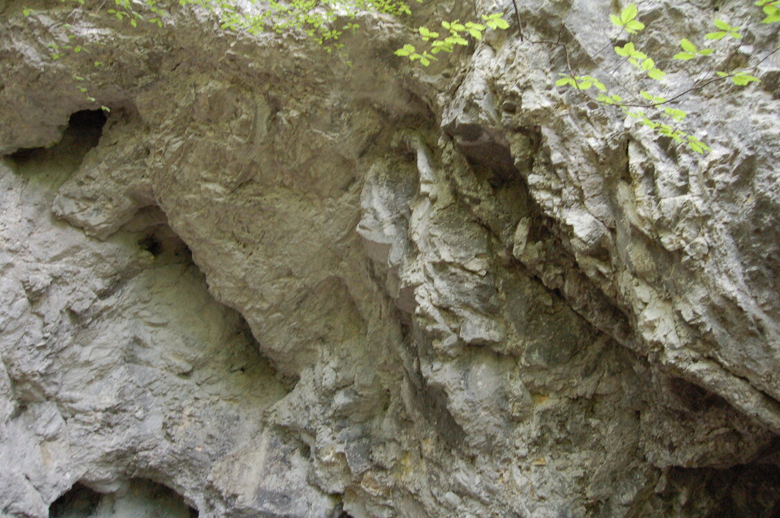 an1_005613.jpg