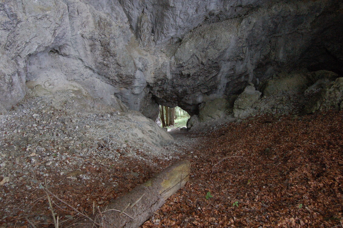 an1_005617.jpg