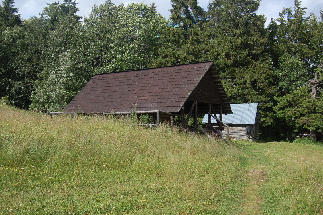 an1_005623.jpg