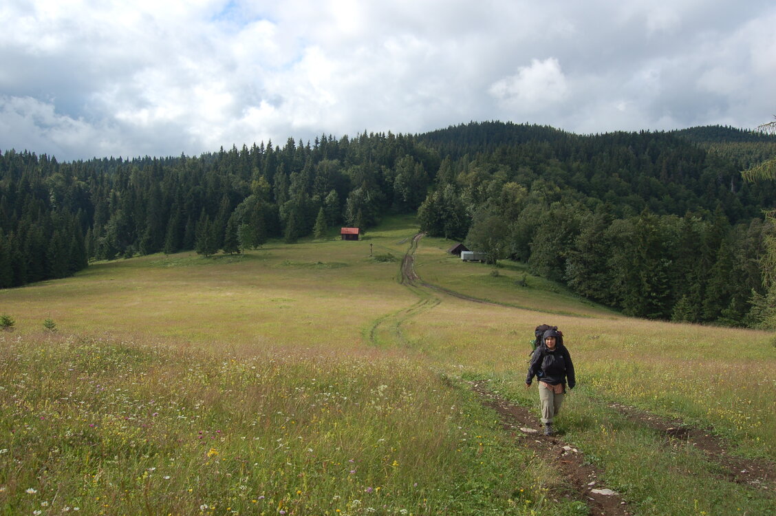 an1_005624.jpg