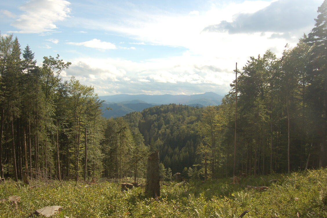 an1_005627.jpg