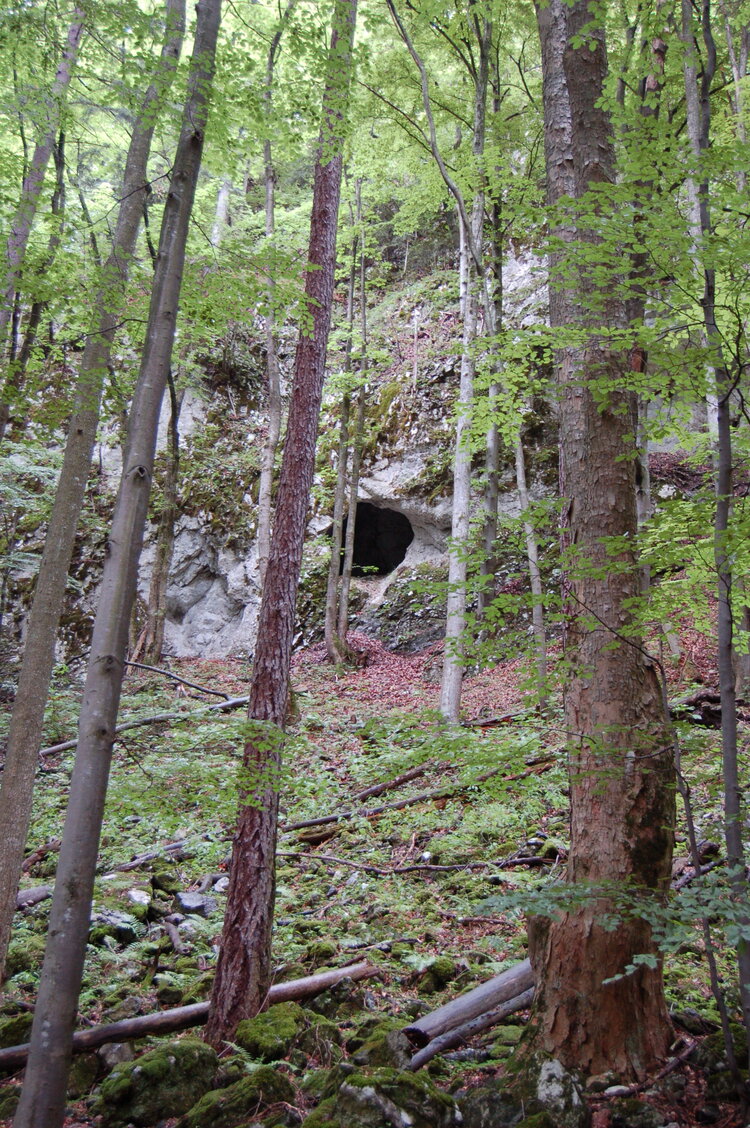 an1_005635.jpg