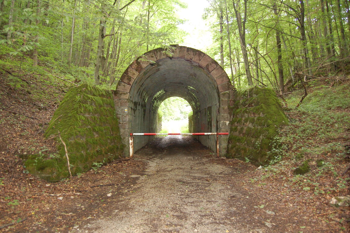 an1_005649.jpg