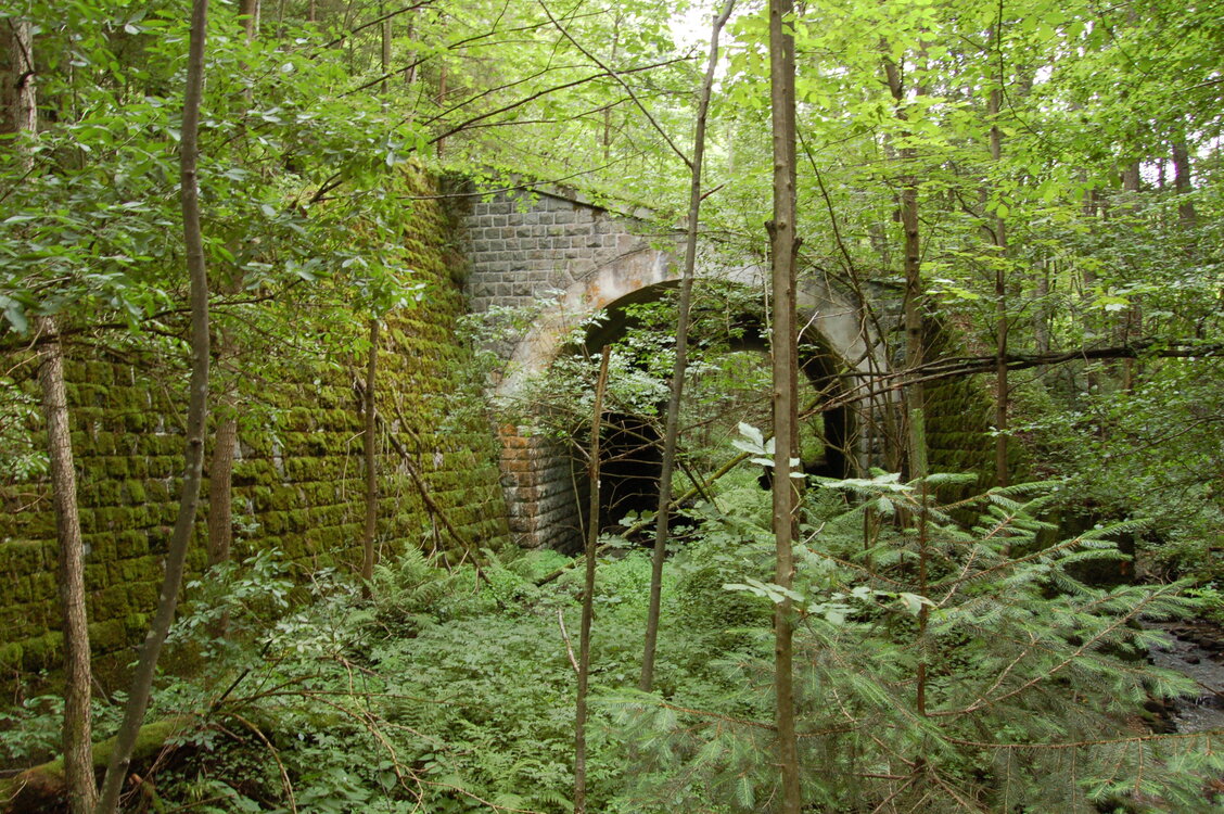 an1_005654.jpg