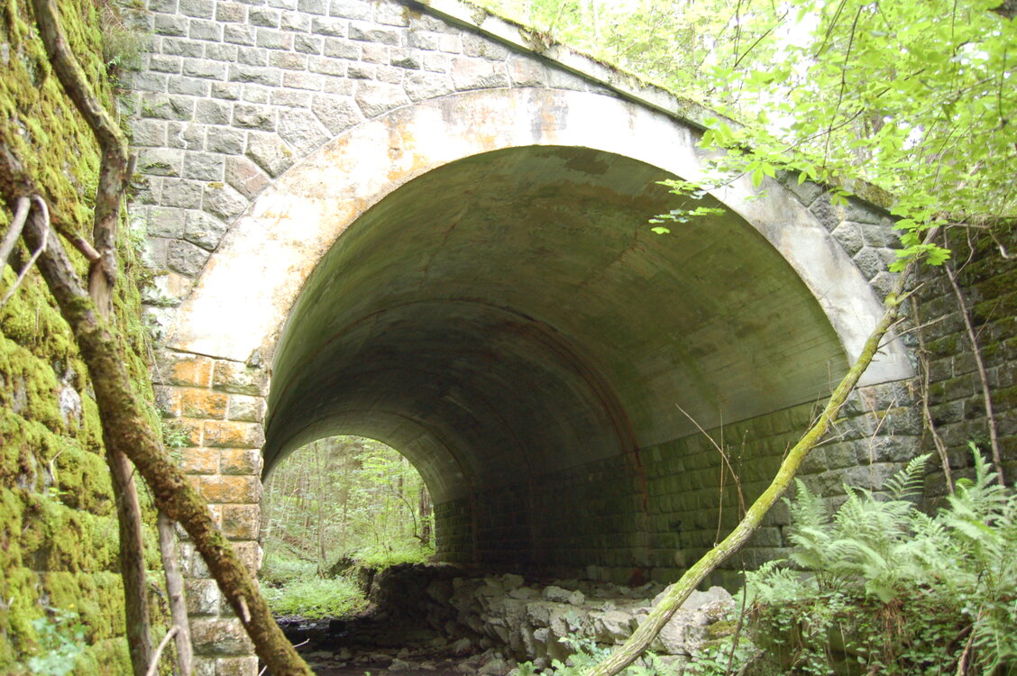 an1_005656.jpg