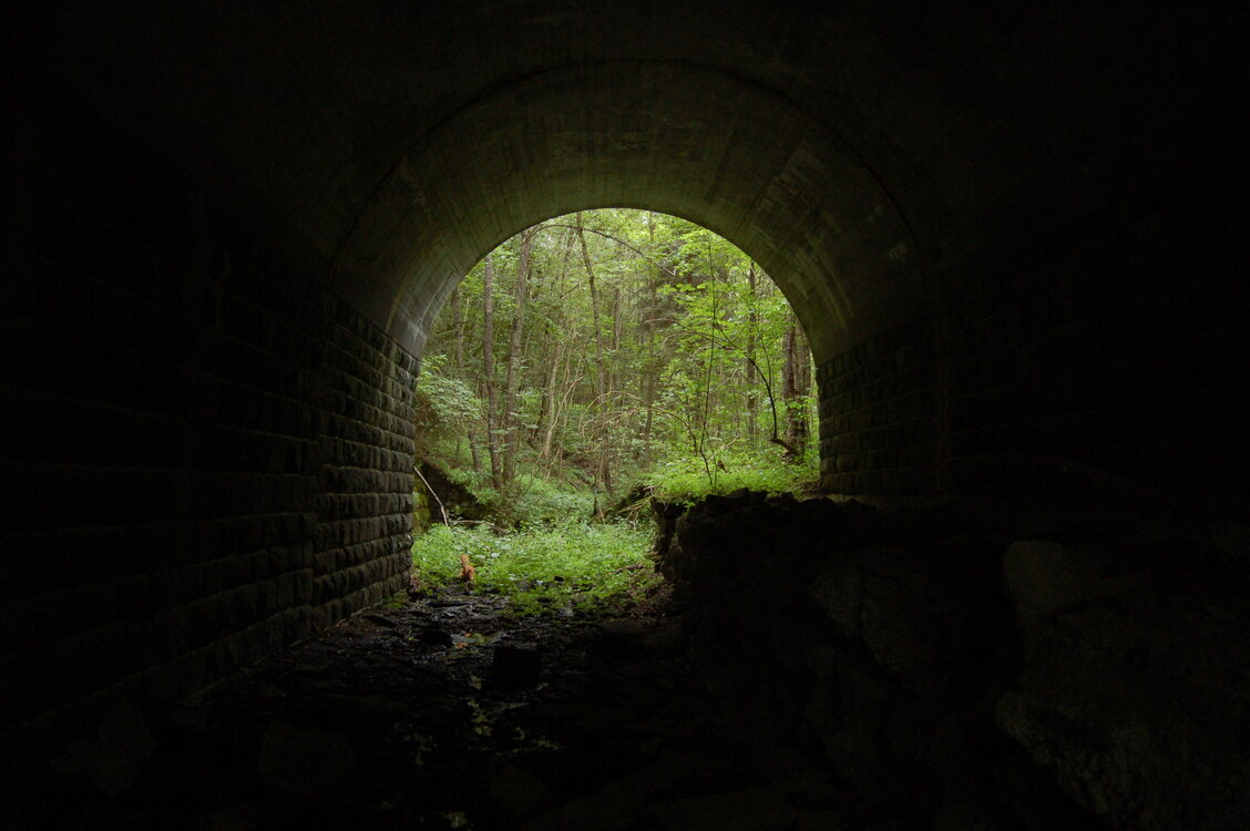 an1_005657.jpg