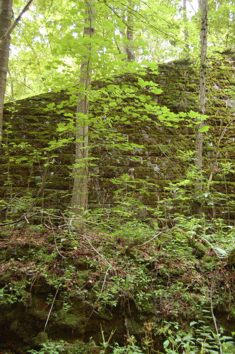 an1_005658.jpg