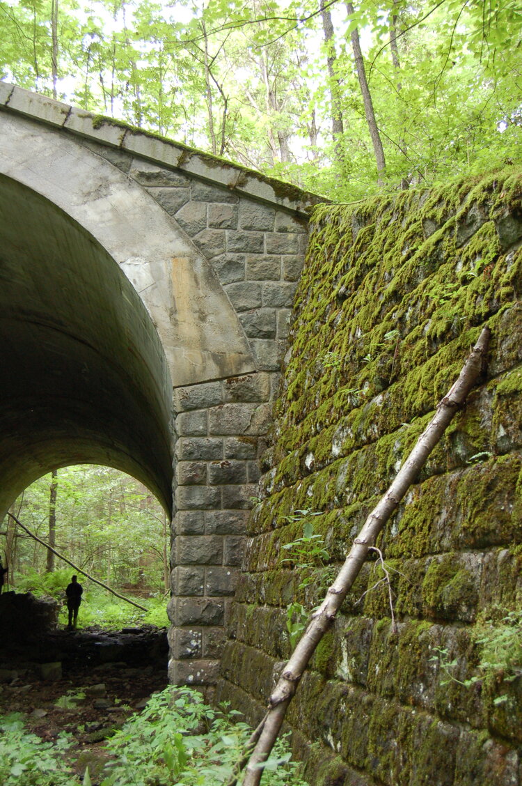 an1_005661.jpg