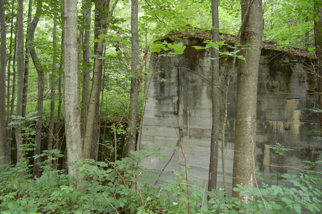 an1_005662.jpg
