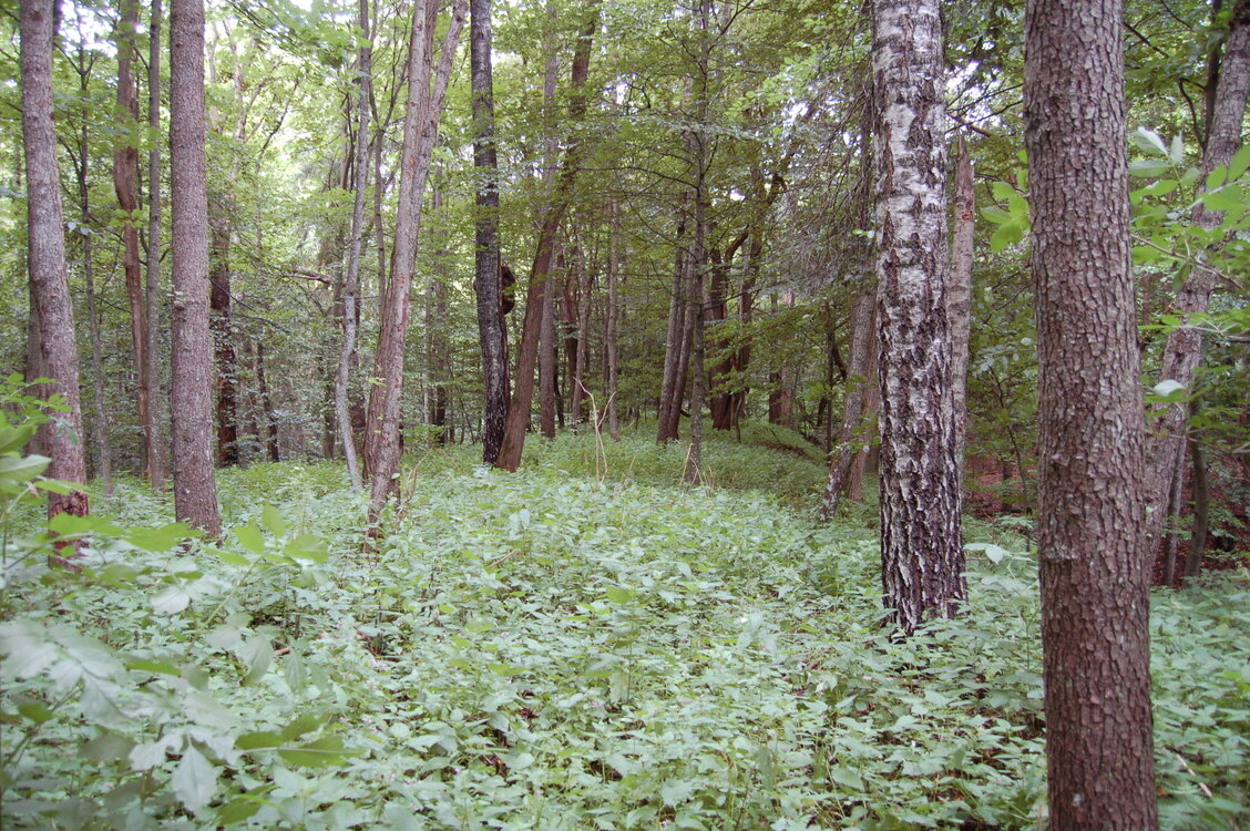 an1_005666.jpg