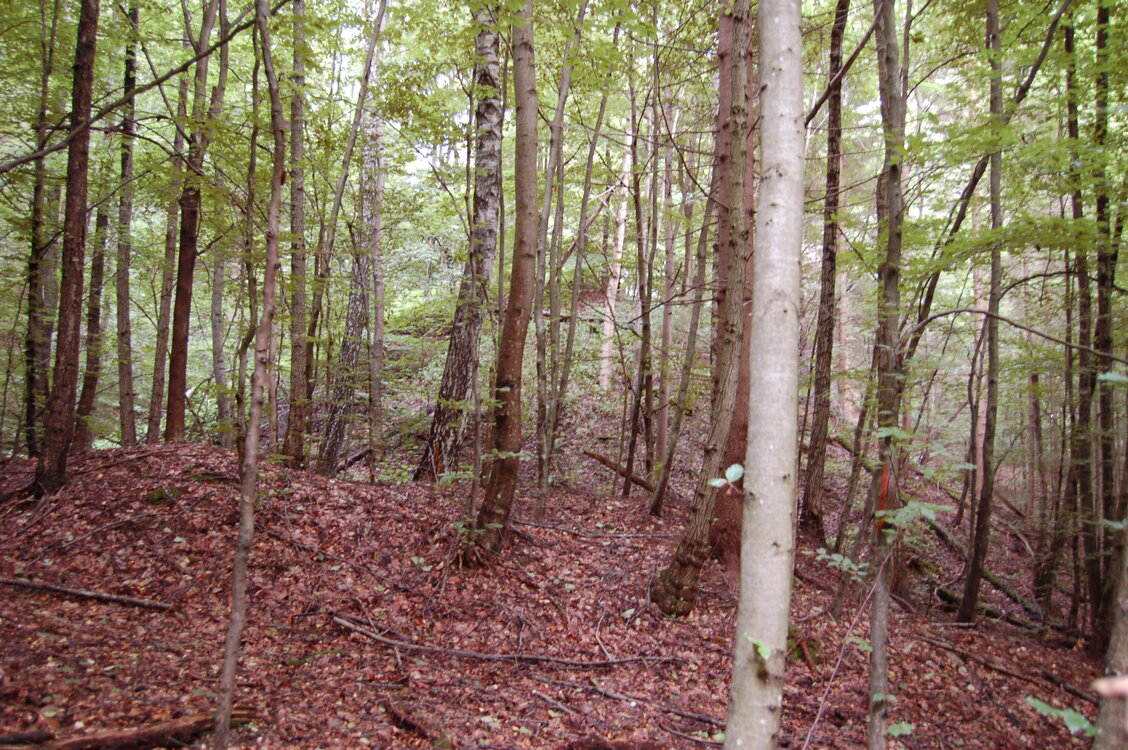an1_005669.jpg