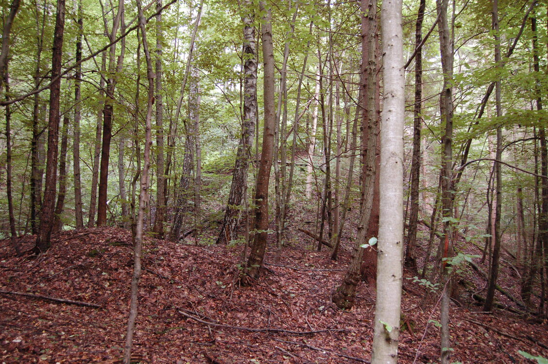 an1_005670.jpg