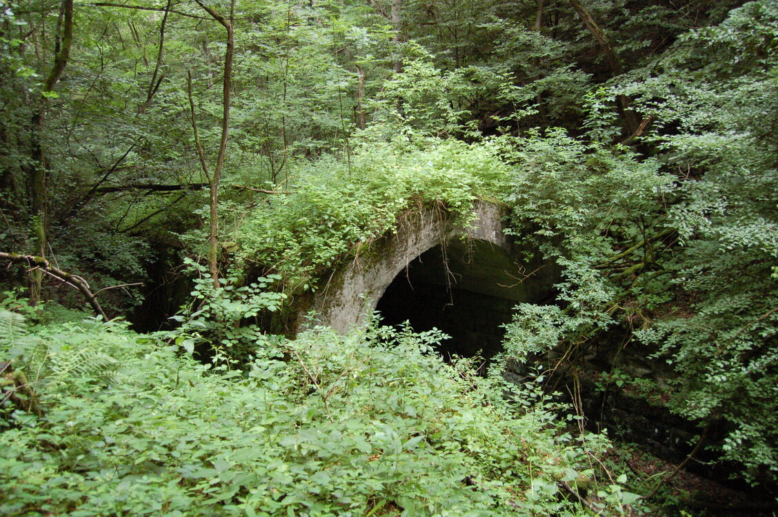 an1_005672.jpg