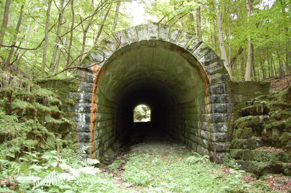 an1_005679.jpg