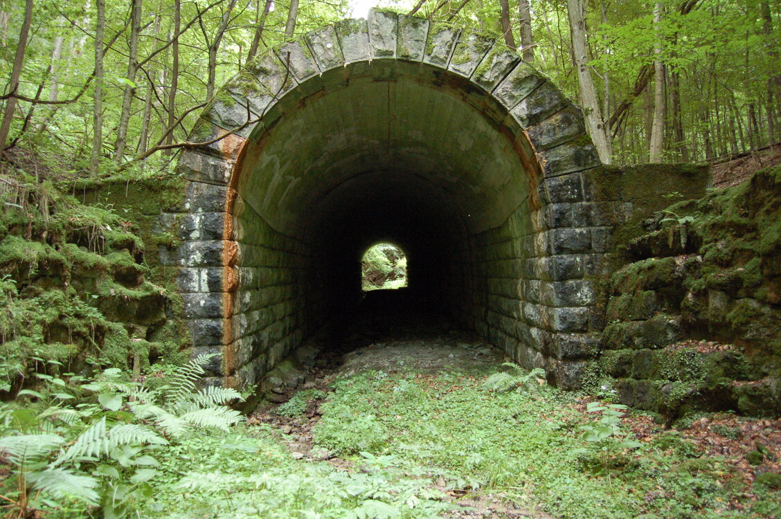 an1_005680.jpg