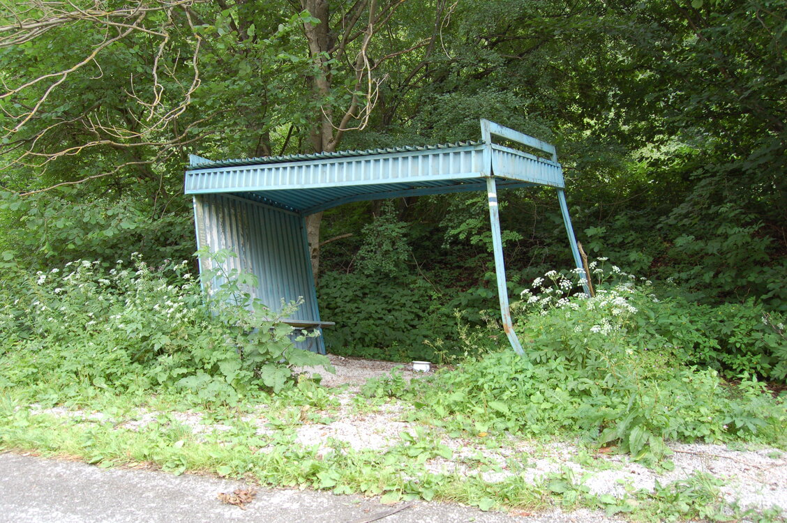 an1_005684.jpg