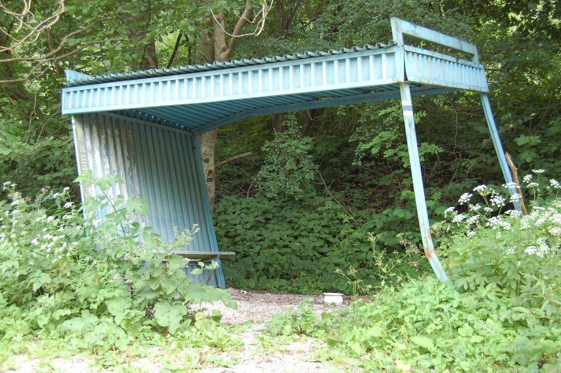 an1_005685.jpg