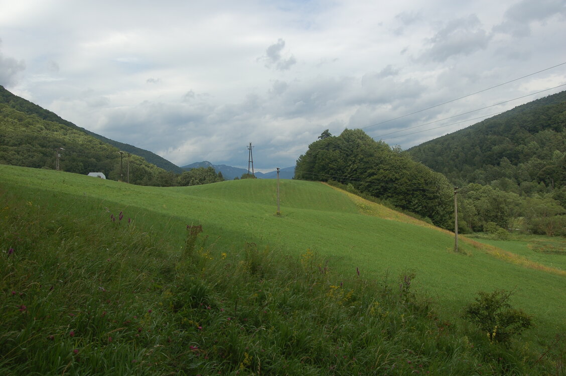 an1_005687.jpg