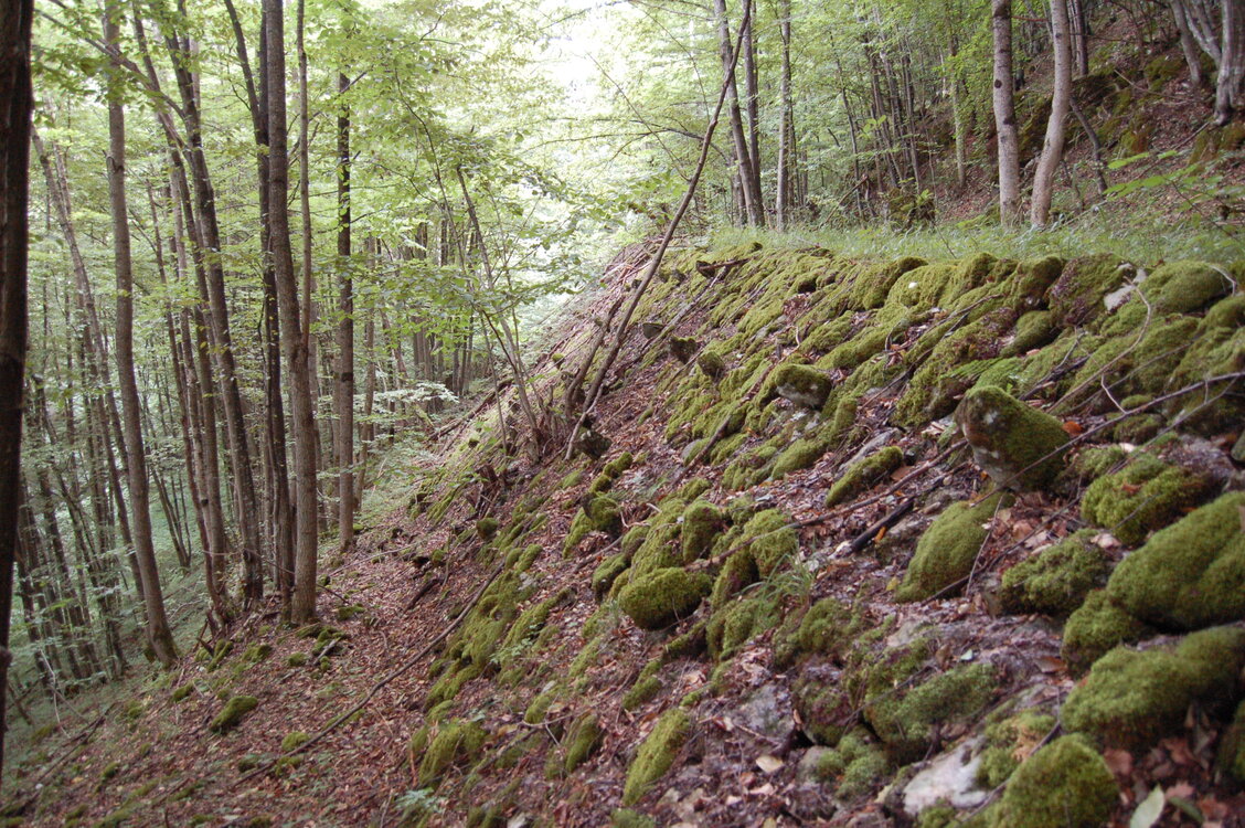 an1_005690.jpg