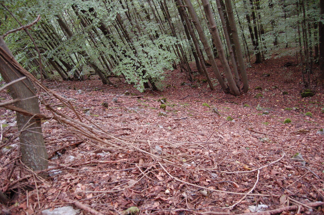 an1_005694.jpg