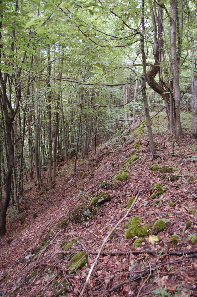 an1_005695.jpg