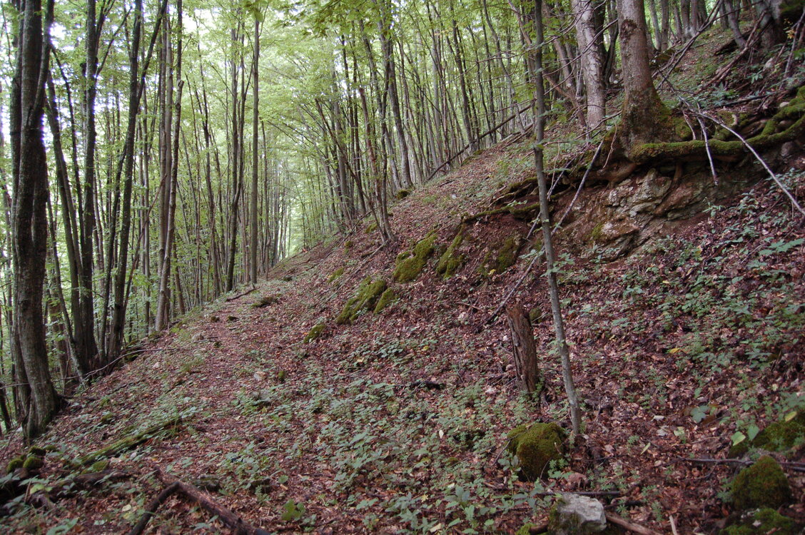 an1_005696.jpg