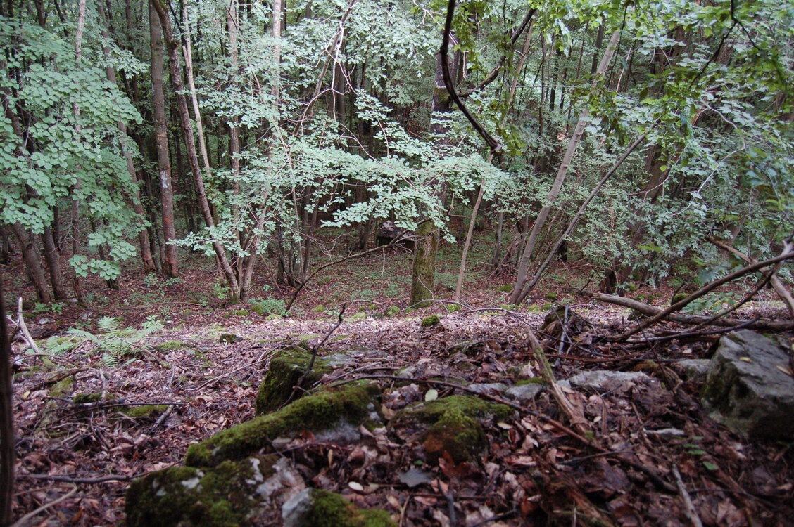 an1_005697.jpg