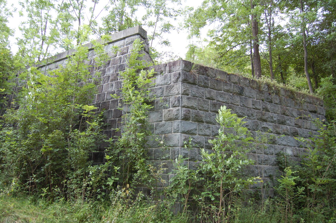 an1_005705.jpg