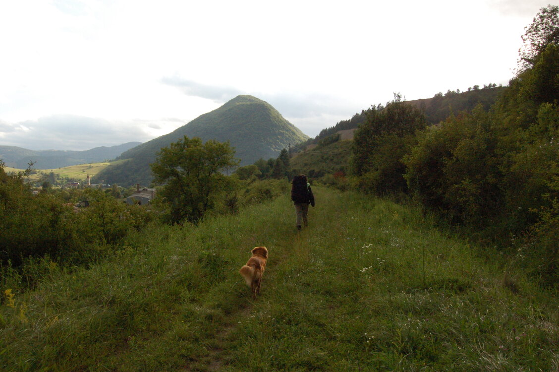 an1_005709.jpg