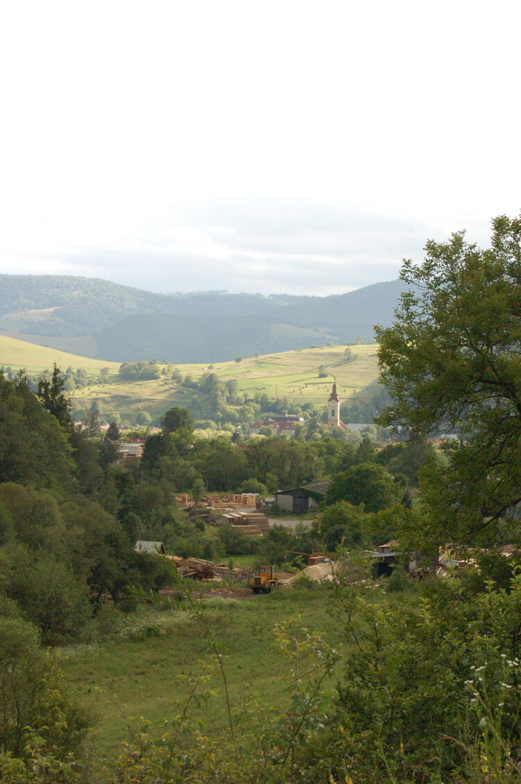 an1_005710.jpg
