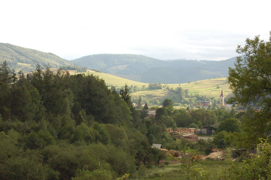 an1_005711.jpg