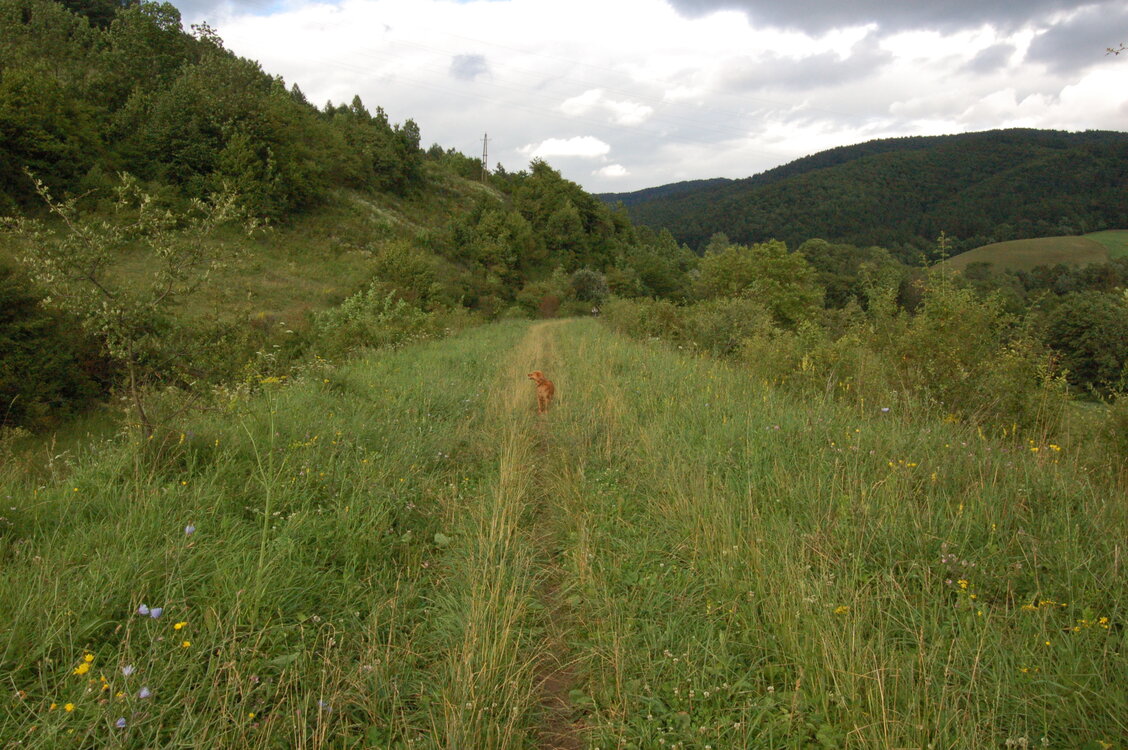an1_005714.jpg