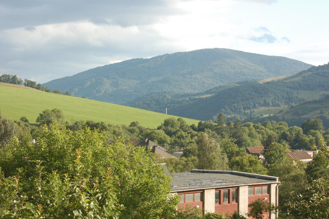 an1_005715.jpg