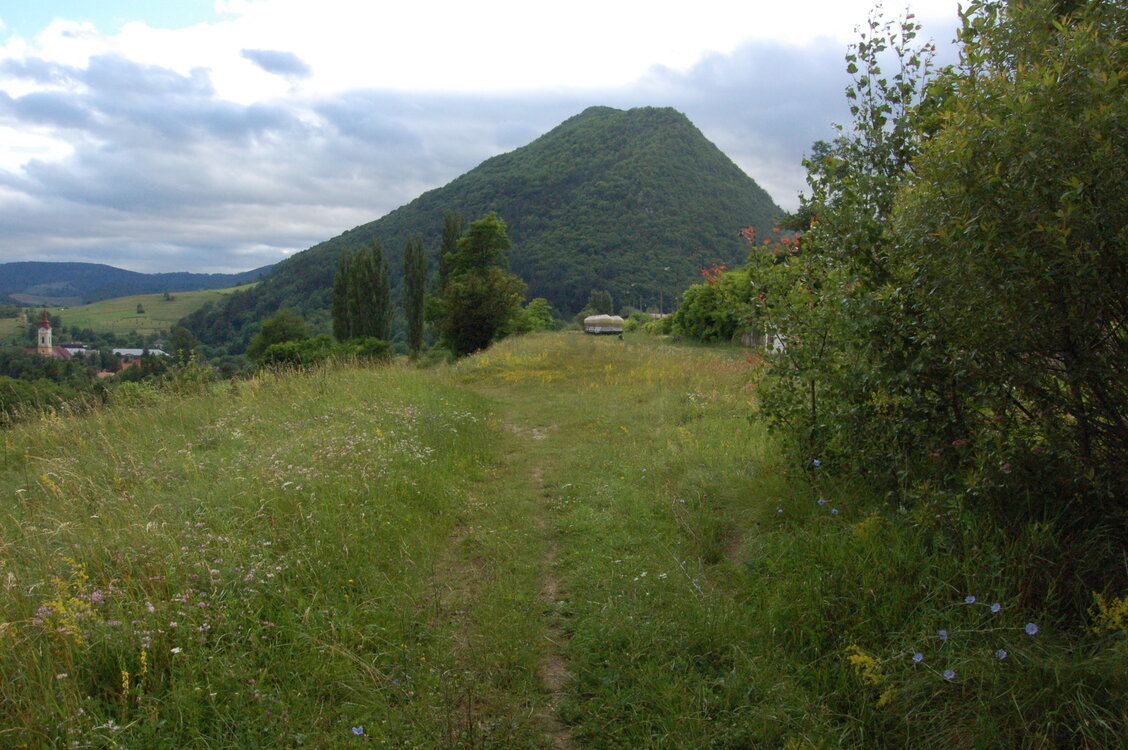 an1_005722.jpg