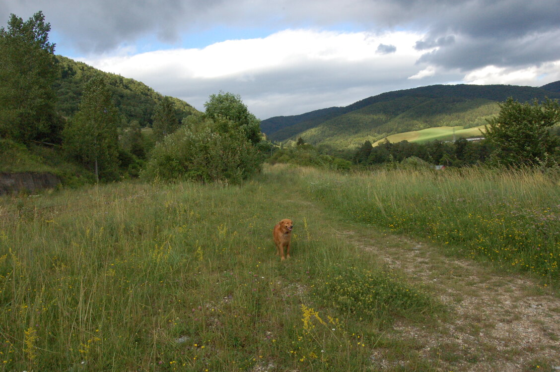 an1_005723.jpg