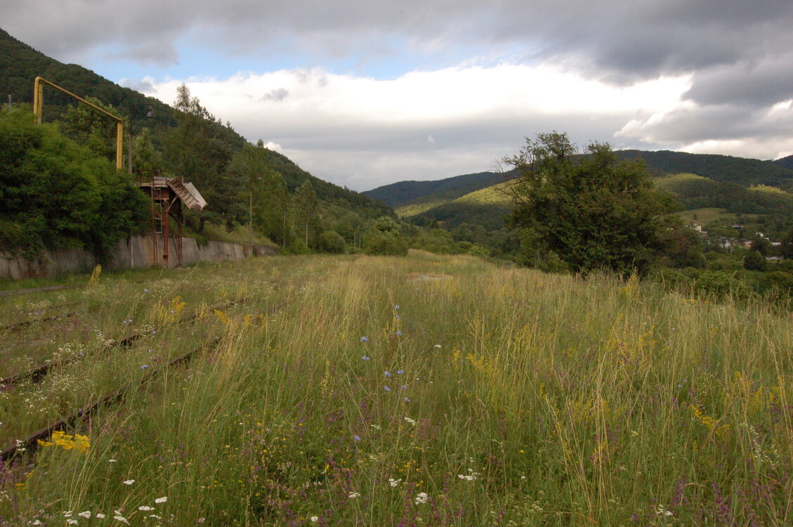 an1_005725.jpg