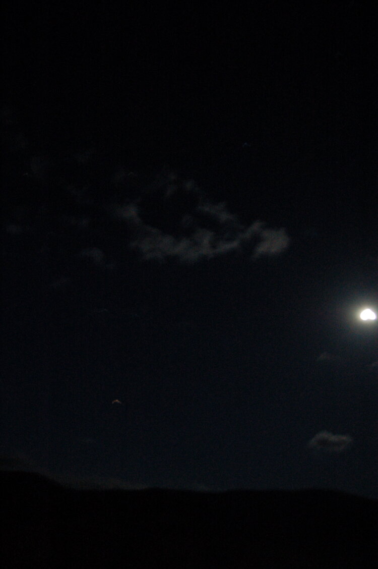 an1_005745.jpg